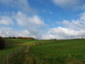 Landschaft blau.JPG