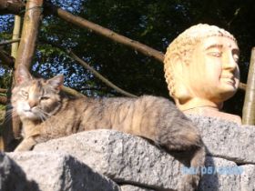 Hilde und Buddha.JPG